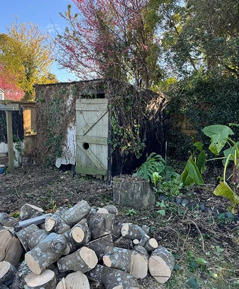 Green Waste Removal