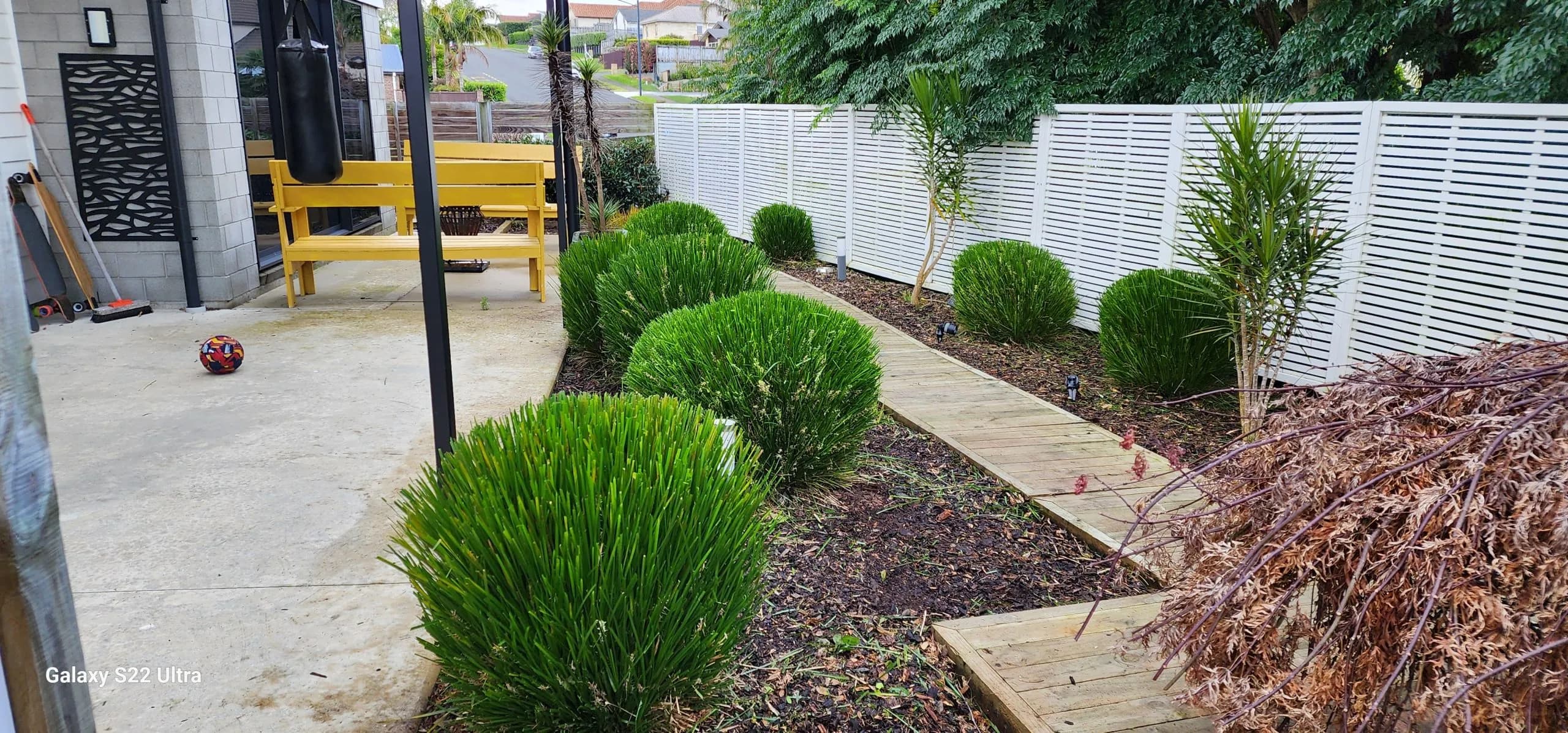 Hedge Trimming After