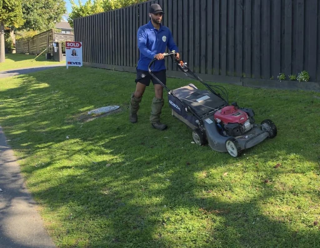 Lawn Mowing