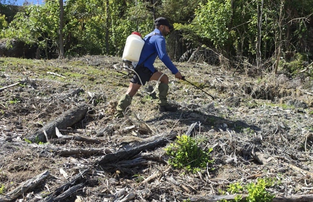 Weed Control